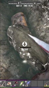 Sewer pig! 7 days 2.2