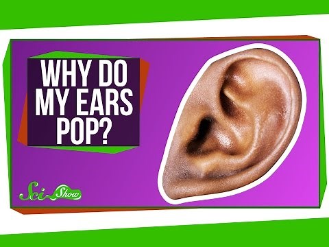 Why Do My Ears Pop?