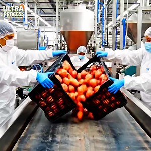 777K views · 10K reactions | The process inside a modern pomegranate juice factory | Ultra Process | Facebook