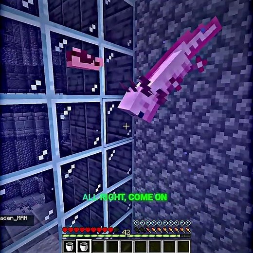 Parrot Smart Moves 🗿 In Unstable Smp