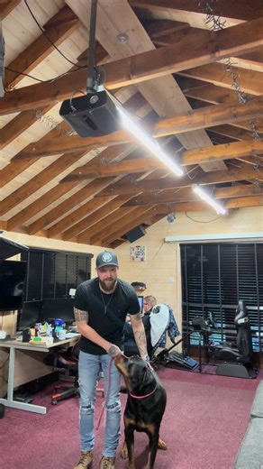 Lead basics #dogs | Adam Spivey