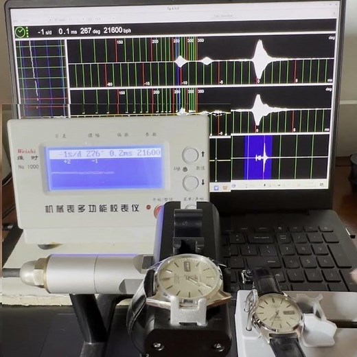 Weishi 1000 Timegrapher VS TGBC Timegrapher