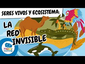 🌿🦊 How do LIVING THINGS live in the ECOSYSTEM? | Educational Videos for Children | @HappyLearningES