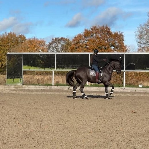 19 reactions | The strength-building work with Zeus is really...