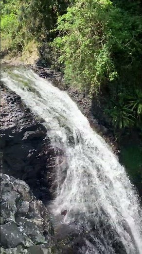 Natural Bridge Waterfall and Cave Creek, Springbrook National Park