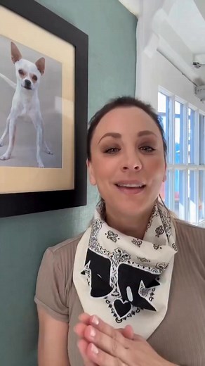 🚨New iHerb brand alert! Meet @ohnorman by Kaley Cuoco — available NOW on @iherb 🐶✨ All of OH NORMAN!’s healthy dog products are available INTERNATIONALLY 🌍 as of today on iherb.com! These vet-approved, all-natural products are made with your dog’s health and happiness in mind — with every purchase supporting rescue dogs in need ❤️🐕 Link to shop in @ohnorman’s bio. | KaleyCuoco Official