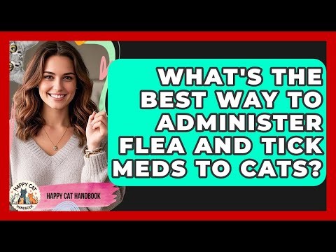 What's The Best Way To Administer Flea And Tick Meds To Cats? - Happy Cat Handbook