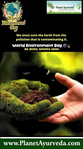 Take Care of Present to Create a Brighter Future | Go Green, Breathe Clean - World Environment Day
