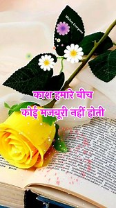 New Hindi Shayari 🌹 Mohabbat Shayari 🥰 Love Shayari In Hindi 💖 Special Love Shayari 🌹#shayari #love #trending #viral #reels | Wishes Everyone