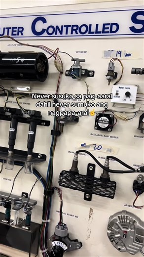 Anticipating Graduation in Automotive Studies 🎓