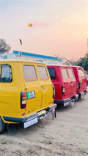 Explore the Colorful World of Brand Colors