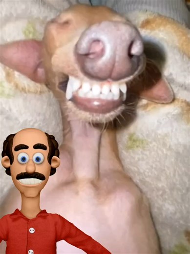 O melhor Tampão com fone bluetooth para o seu sono! #fonedeouvido #homens #mulheres #dormir #conforto