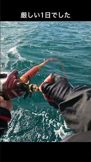 石鏡沖で活きイワシでヒラメ釣り🎣 三幸丸✨✨