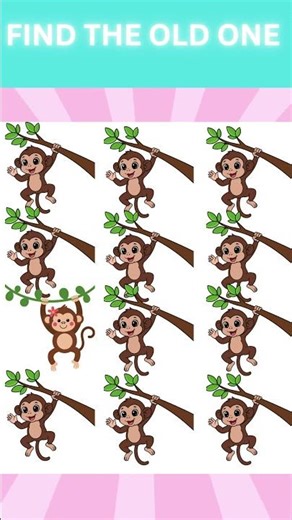 Spot the Different Monkey 🐒 | 5-Second Challenge ⏳🧠