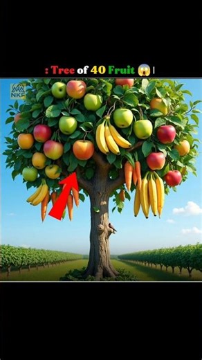 : Tree of 40 Fruit 😱। #facts #viral #trending #shorts