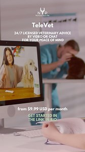 Talk to a Vet Anytime, Anywhere When your pet isn’t feeling well, you need answers fast. But not every situation needs an immediate trip to the vet. That’s where TeleVet comes in. With 24/7 online vet chat, you can talk to a licensed veterinarian anytime. Discuss symptoms, get expert advice, and find out if your pet needs urgent care or home treatment. Sign up today from just $9.99 USD per month | Nurture your Pet | Facebook
