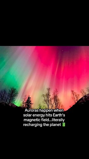 Tonight the sky lit up in a spectacular global aurora show… our planet’s magnetic heartbeat made visible. On 11/11 it felt like everything aligned: earth, sky, you, me. What message did you receive under the lights? 💡✨ #AuroraMagic #1111Synchronicity #CosmicEnergy #EarthVibes | Brooklyn Faller