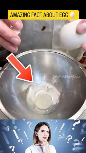 AMAZING FACT ABOUT EGG 🥚 #shorts #viralshorts #telugushorts #viral