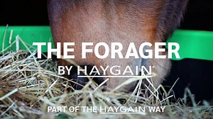 15 reactions | Introducing the newest addition to The Haygain Way product line! The Forager Slow Feeder allows horses to eat in a natural, head-down position and extends meal times for horses—like Mother Nature intended. Learn more at www.haygain.us | Horse Network | Facebook
