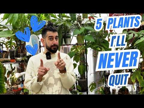 5 Tropical Houseplants I’d Risk It All For 😍