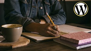 Blogging Website With Wordpress & Elementor   Blogging Guide