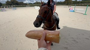 🥖 Baguette… 📹 The video is a bit rough (early days for him so not presenting him as a 'ready' product, just a raw one!) as I snapped it off the deck while eating my lunch - but a little 'taster' so you too can get an idea of how fancy he's going to be - I rate him. 16.1hh ( - might be a bit bigger) 6yo by Dark Angel. Coming up for rehoming so keep an eye on him.... | EventStars Ltd