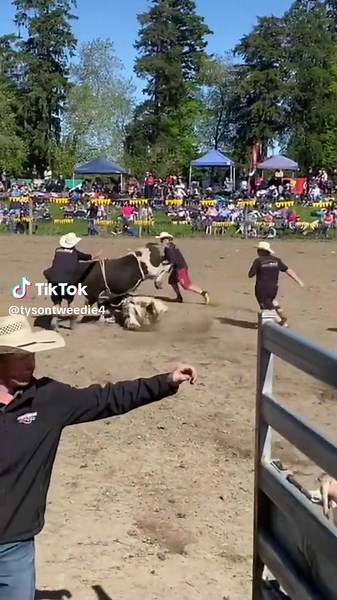 Tyson✝️ (@tysontweedie4) - Aussie Bull Riding Adventure with Junior Bulls