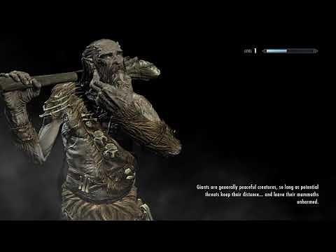 Skyrim: How to Install Harbor to Play Skyrim SE Online