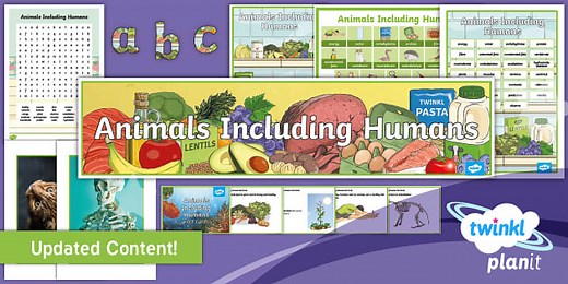 Science: Animals Including Humans: Year 3 Additional Resources