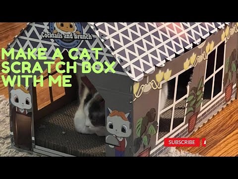 UnBoxing Heart To Tail Cat Scratching Playhouse 😸 🌿 #catscratcher #catsofyoutube #aldi #catnip