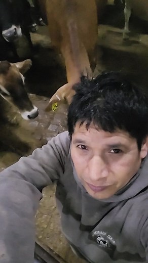 Siempre alegre en trabajo eso te ase bien | Samuel Gonzalez Castelan