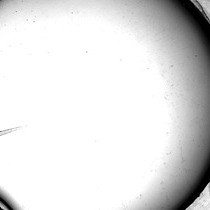 Video: Building Finite Element Models to Investigate Zebrafish Jaw Biomechanics