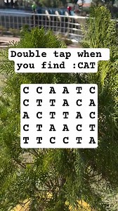 Observation Visual Test: 5 Seconds For You To Spot CAT. Try Your Skills! #puzzle #CAT | Devlop's IQ & Puzzle