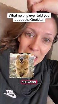 Mastering the Art of Effective Teaching — A Comprehensive Teacher Lecture