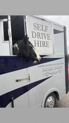 Self drive lorry has been out and about to competitions and arena hire. Poppy and her lovely pony Blue looking fantastic 💜💜 | Warwickshire Horse Transport