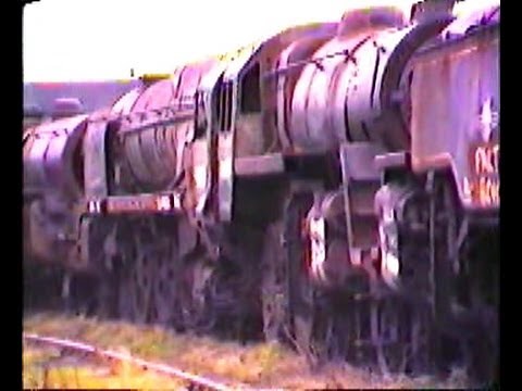 Retired Steam Locomotives at Barry Island. Dai Woodhams Scrapyard - Graveyard - 27th Jan 1981