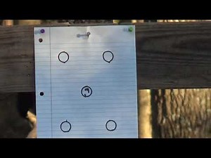 testing the pellets and scope on the Gamo Whisper pellet gun.