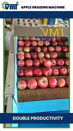 Advanced Apple Grading Machine by VMT
