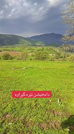 فيديوهات أنشأها briar namiq (@briar.namiq) باستخدام original sound - briar namiq
