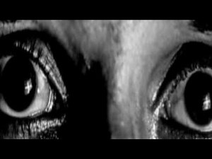 Object Fool Anamoly (2023)