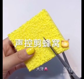 Satisfying Dry Yellow Sponge Cutting