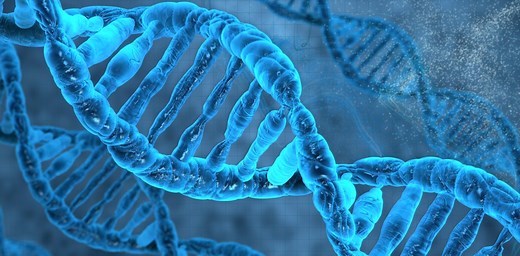 How does genetics explain non-identical identical twins?