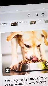 The Wiggles Feeding Time Song