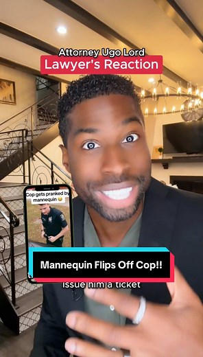 Mannequin Flips Off Cop: Legal Traffic Stop Explained
