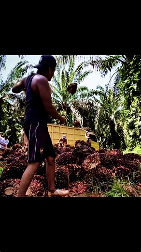 Real Hard Work: The Path to True Success