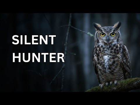 Owl: The Silent Hunter