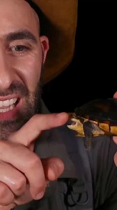 Turtle power! #reaction #turtle #bite #bravewilderness | Brave Wilderness