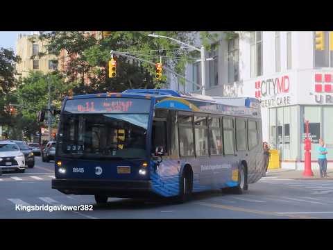 MTA New York City Bus: 2019 Nova Bus LFS 8645 on the Bx11 Bus to The Heights.