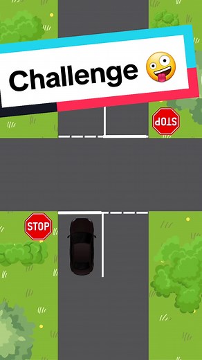 A bit of fun today. See if you can stop the car at the right spot 😃 #fyp #fypシ #funvid #funvideo #stopsign #drivingschool #challenge