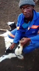 Tsa temo thuo | Mcharo Motsepo
